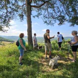 Randonnée vignes Jura avec chien - Vignoble Pignier de Montaigu