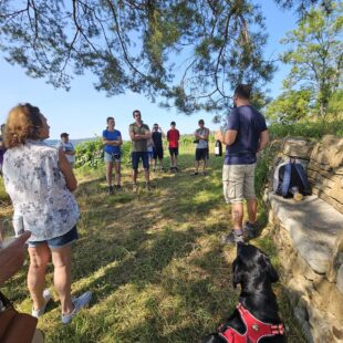 Randonnée vignes Jura avec chien - Vignoble Pignier de Montaigu